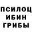 Галлюциногенные грибы мицелий Valery Ilyasova