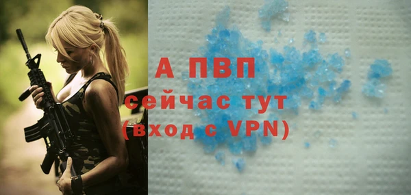 spice Аркадак