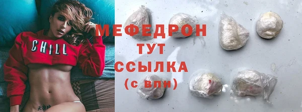 молекула духа Гатчина
