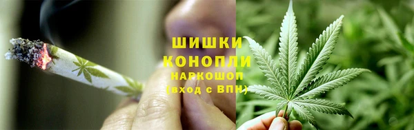 шишки Алексеевка