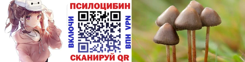 Галлюциногенные грибы мицелий  Строитель 