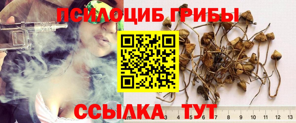 Псилоцибиновые грибы Magic Shrooms  Вход с VPN  Строитель 