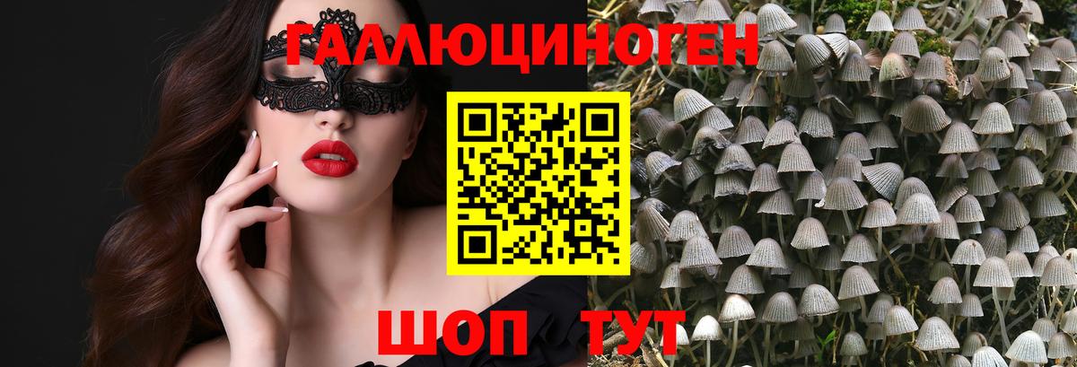 APVP СОЛЬ кристаллы  ЭКСТАЗИ  Бошки Шишки  Меф   COCAIN  Строитель  МЕТАДОН  ГАШ  Где купить наркотики?  Вход с VPN  Гашиш 